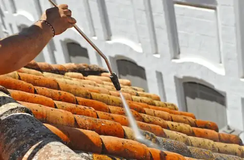 Nettoyage de toitures - Belleville